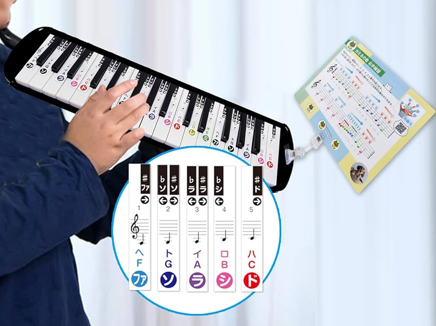 鍵盤楽器 透明音階シールセット ピアノ キーボード 鍵盤ハーモニカ 練習 楽天市場】ピアノ鍵盤シール キーボード カラー 日本語 ひらがな
